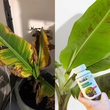  Gnojilo za rastline floravita | Shoptok.si