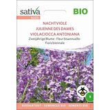 Sativa Bio dvoletna cvetlica "nočna vijolica" Cene