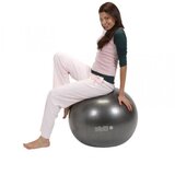  Žoga za vadbo Gymnic Plus temno siva 65cm | Shoptok.si