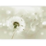 Artgeist Foto tapeta - Pilgrimage of Wind 400x280 | shoptok.hr