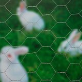 Nature žičana mreža šesterokutna 0 5 x 2 5 m 25 mm pocinčani čelik | shoptok.hr