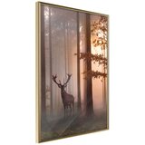  Poster - Forest Seclusion 40x60 | shoptok.hr