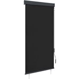 vidaXL Zunanje rolo senčilo 100x250 cm antracitno, (21049662) | Shoptok.si