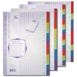  Pregradni karton 24-delni elisa ELISA | Shoptok.si