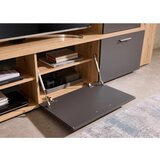 MID.YOU Dnevni Regal Heathrow, Hrast, Antracit | Shoptok.si