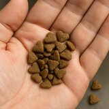 Monge Indoor piletina – hrana za mačke na meru (ZIP kesica) | ePonuda.com