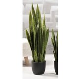  CVIJEĆE SANSEVIERIA 88CM PVC 57651 | Eponuda.ba