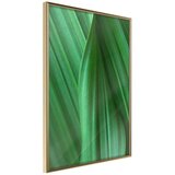  Poster - Leaf Structure 30x45 Cijene