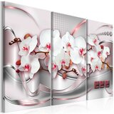 Slika - Wonderful Orchids I 120x80 Cijene