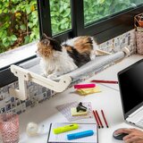  Viseča mrežasta postelja za mačke Hamacat InnovaGoods | Shoptok.si
