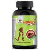 VET SUPLEMENTS hepatoprotect silimarin za zdravu jetru pasa i mačaka 80 komada Cene
