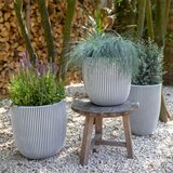 Capi Cvetlično korito Groove 35x34 cm slonokoščena, (20981557) | Shoptok.si