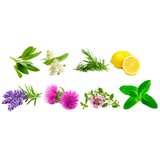 O Rising O'Rising ulje za masnu kosu (30 ml) | shoptok.hr