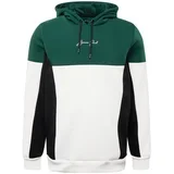 Brave Soul Sweater majica 'CARDANO' ecru/prljavo bijela / zelena / crna
