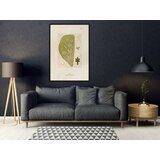  Poster - Cross Section of a Leaf 30x45 | shoptok.hr
