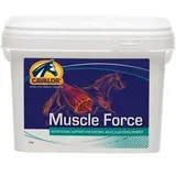 muscule force 2kg