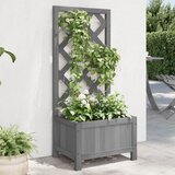 Maison Chic Cvetlično korito - Cvetlični Lonec z mrežo sive barve trden les jelke, (21789384) | Shoptok.si