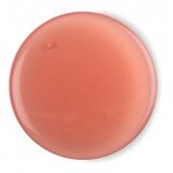 Lush gel za tuširanje Rose Jam | Eponuda.ba