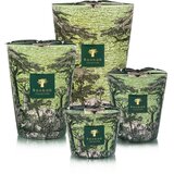 Baobab Collection Sacred Trees Touba dišeča sveča 1100 g | Shoptok.si