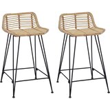 Barska stolica 2 pcs Prirodna 44 x 45 x 76 cm Ratan i Čelik | shoptok.hr