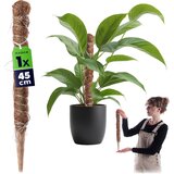 KADAX Podpora za cvetlične rastline 45 cm Kokosov kol 45 mm Drog za monstero, (5000362677) Cene