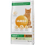 IAMS for Vitality Adult s janjetinom - 3 kg Cijene