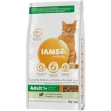 for Vitality Adult s janjetinom - 3 kg