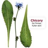 Clarins Everlasting Youth Fluid Foundation posvjetljujući puder SPF 15 nijansa 110 Honey 30 ml | shoptok.hr