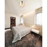  Stropna svjetiljka (60 W, Srebrne boje, Prozirno, Nikal, E27) | shoptok.hr