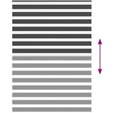 vidaXL idaXL Zebra senčilo črna 160x200 cm tkanina širina 155,9 cm poliester | Shoptok.si