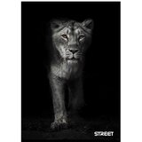 STREET Zvezek A4 Safari, črte z robom, 54 listov, sortirano, 1 kos | Shoptok.si