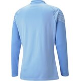 Puma TEAMCUP TRAINING 1/4 ZIP TOP Muška sportska majica, svjetlo plava, veličina | shoptok.hr