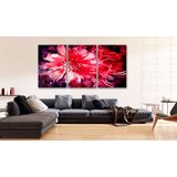  Slika - Crimson Flowers 60x30 | shoptok.hr