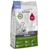 Platinum puppy piletina 1,5kg Cene