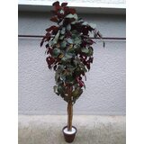 Lilium veštačko drvo u saksiji 140 cm LC185602 Cene