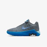 Nike lebron witness ix gs Cene