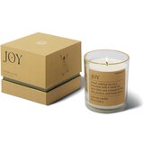 Paddywax Mood Joy Misted Lime dišeča sveča 226 g | Shoptok.si