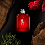 Polo Ralph Lauren Polo Red parfumska voda za moške 125 ml | Shoptok.si