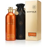 Montale Paris Aoud Melody Eau De Parfum 100 ml (unisex) | shoptok.hr