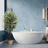 MID.YOU Umetna Rastlina Ficus | Shoptok.si