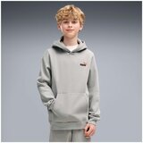 Puma Flis Ess 2 Color Small No. 1 Logo Hoodie Fl B Siva Cene
