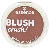 Essence blush crush! Rumenilo 10 cene