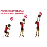 Olimp Sport Wall Ball lopta za bacanje 8 kg sa ručkama | ePonuda.com