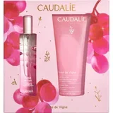 Rose de Vigne Fresh Fragrance Gift Set božićni poklon set za ishranu i hidrataciju