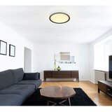 Globo Stropna lampa BELISSA LED 39 W 1600 lm 3000 K 40 cm | shoptok.hr