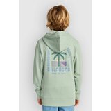 Billabong Foundation Kids Pulover s kapuco vintage green | Shoptok.si