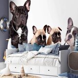 Artgeist FOTOTAPETA | Shoptok.si
