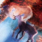  Dječja haljina s dugim rukavima starinska ružičasta boja 128 | Eponuda.ba
