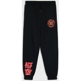 Sinsay Donji dio trenirke loose jogger Dragon Ball | shoptok.hr