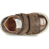 GBB CAPTIVANT Ljubičasta | shoptok.hr